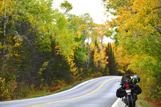 Scenic Motorcycle Routes for Fall Adventures