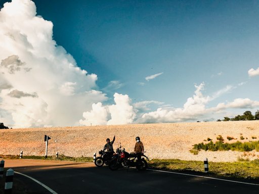 Whispers of the Wind: Embracing the Open Road